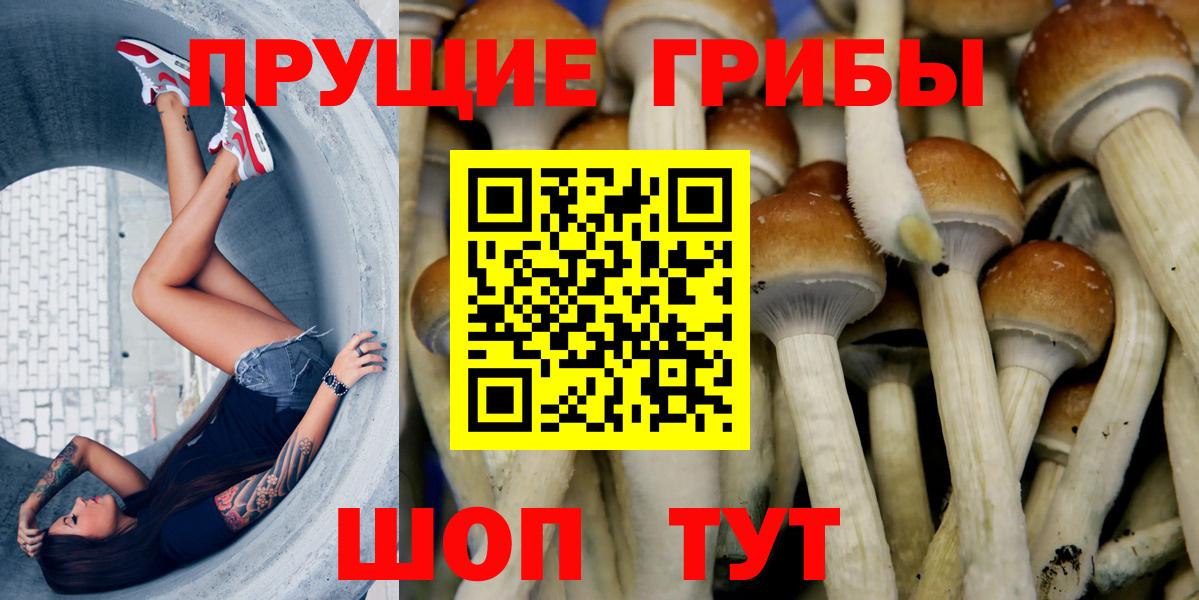 Пермь  Галлюциногенные грибы Cubensis  Галлюциногенные грибы GOLDEN TEACHER  Вход с VPN 